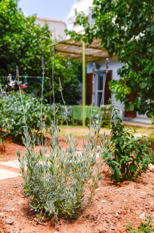Gaia Residence Hersonissos  Dış mekan fotoğraf